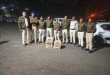 WhatsApp Image 2025 11 13 at 11.07.38