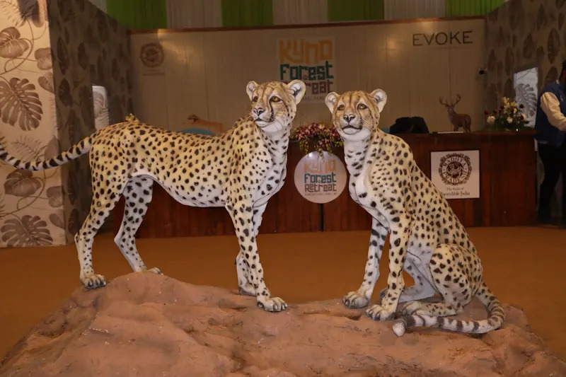 WhatsApp Image 2025 11 16 at 13.27.38