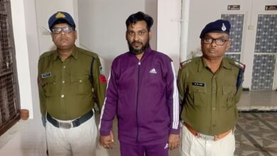 WhatsApp Image 2025 11 17 at 12.04.03