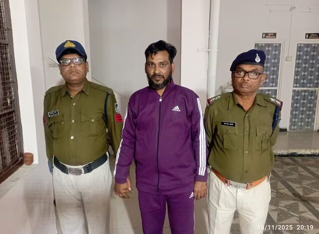 WhatsApp Image 2025 11 17 at 12.04.03