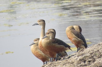 WhatsApp Image 2025 11 19 at 14.42.56 1