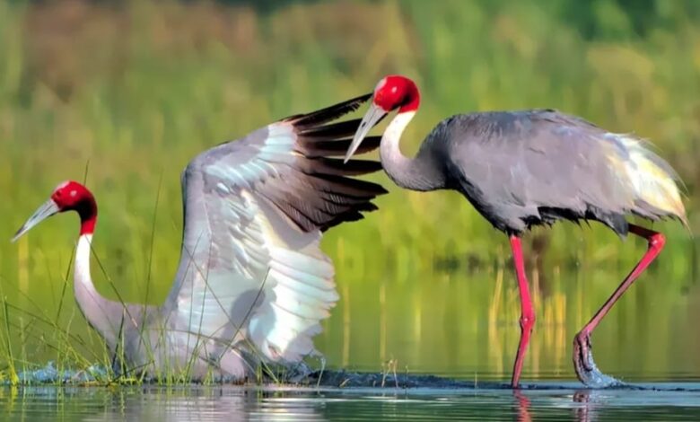 WhatsApp Image 2025 11 19 at 14.42.56