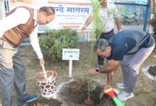 bfe9eccd da46 4385 b1a2 561e2256cb2e