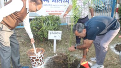 bfe9eccd da46 4385 b1a2 561e2256cb2e