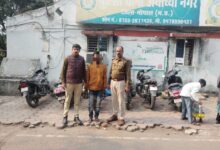 c8f5339a d904 47d3 8d72 e7158122cebd