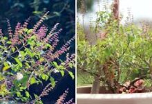 download 2025 11 01T124304.503