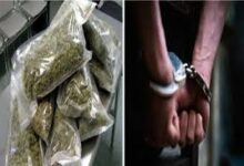 download 2025 11 05T123514.403