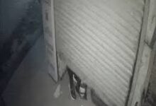 download 2025 11 09T172447.768