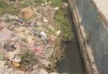 download 2025 11 11T152037.943