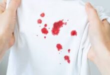 download 2025 11 13T170607.833