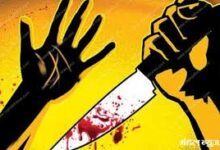 download 2025 11 19T124545.345