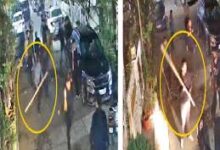 download 2025 11 25T142715.635