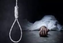 download 2025 11 29T133226.153