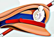 अभद्र भाषा का प्रयोग , महिला एएसआई निलंबित: आईजी के प्रति रह वासियों ने जताया आभार 10 images44