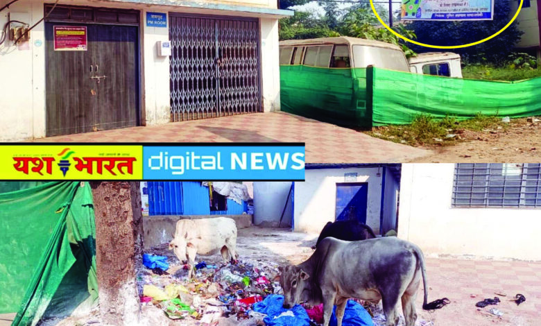 लापरवाही : जहां लगा स्वच्छता का बैनर, वहीं फेंका जा रहा बायोमेडिकल वेस्ट, संक्रमण का खतरा 1 000