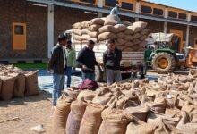 4 हजार 580 कृषकों 42 हजार मीट्रिक टन से अधिक धान खरीदी 10 01 2