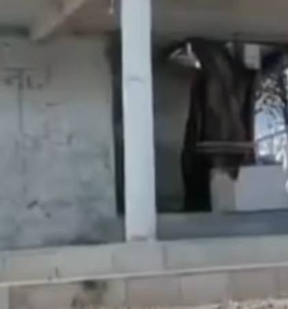 IMG 132530 271225 1766822160172