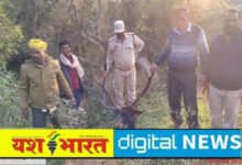 बिजली के तार से कटिया लगाकर सांभर का शिकार, बोरी में 10 किलो कच्चे मांस के साथ आरोपी गिरफ्तार 11 IMG 20251203 141658