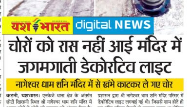 चारों को रास नहीं आई मंदिर में जगमगाती डेकोरटिव लाइट, खंभे काटकर ले गए, एनकेजे का मामला 7 IMG 20251213 131951 1