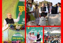 InCollage 20251225 200630942