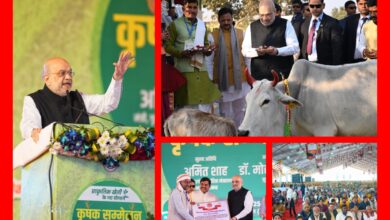 InCollage 20251225 200630942