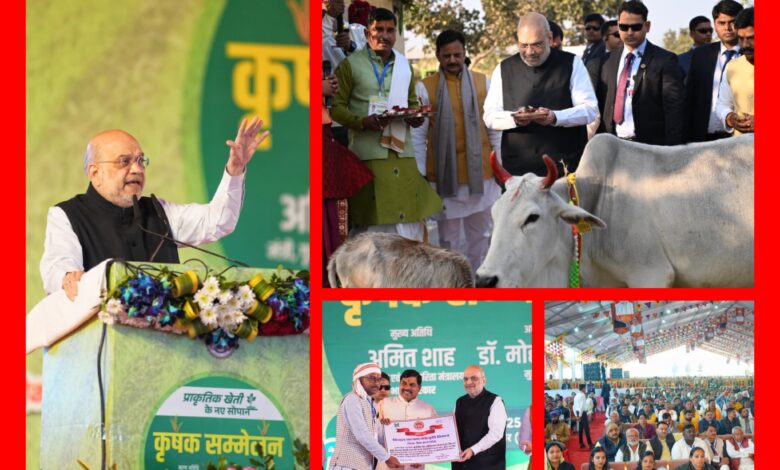 InCollage 20251225 200630942