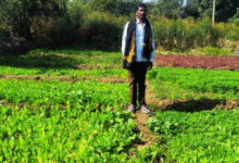 Screenshot 20251201 153920.WhatsApp