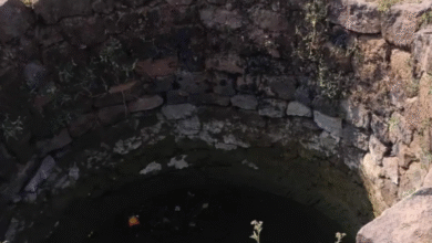 Screenshot 20251201 222139.Dainik Bhaskar