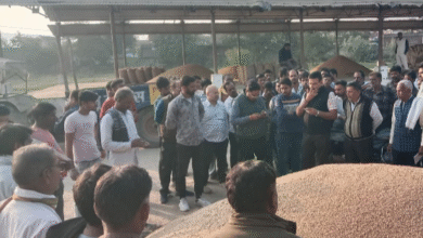 Screenshot 20251202 090347.WhatsApp