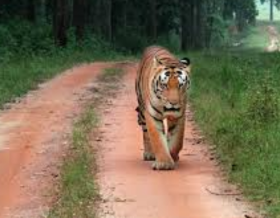 Screenshot 20251202 120246.WhatsApp