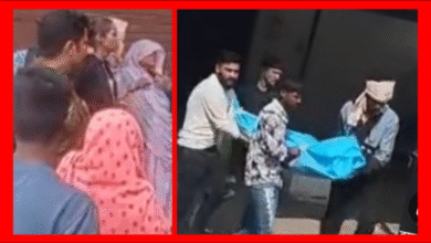 Screenshot 20251203 083710.Gallery