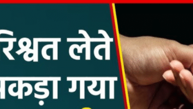 Screenshot 20251203 170943.Gallery