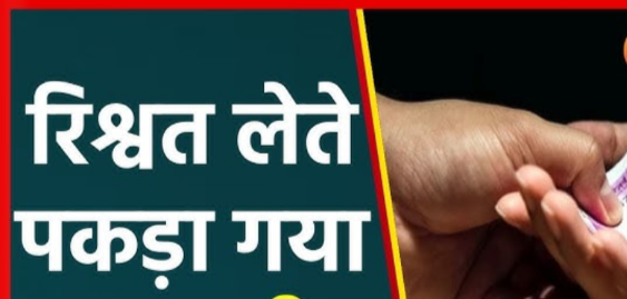 Screenshot 20251203 170943.Gallery