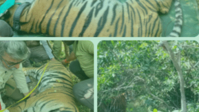 Screenshot 20251205 165437.WhatsApp