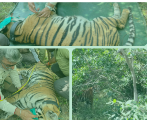 Screenshot 20251205 165437.WhatsApp