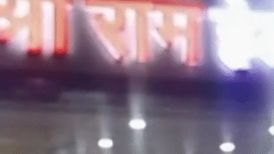 Screenshot 20251207 092858.Dainik Bhaskar