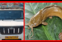 Screenshot 20251207 121334.Gallery