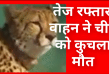 Screenshot 20251208 093309.Gallery