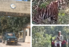 Screenshot 20251211 183949.WhatsApp