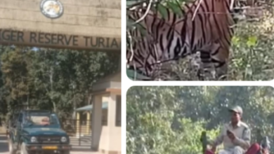 Screenshot 20251211 183949.WhatsApp