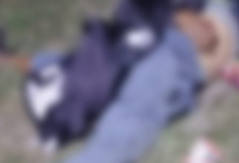 ट्रेन की चपेट में आने से युवक की दर्दनाक मौत : नहीं हो सकी शिनाख्त , पुलिस जांच में जुटी 4 Screenshot 20251214 201853.WhatsApp