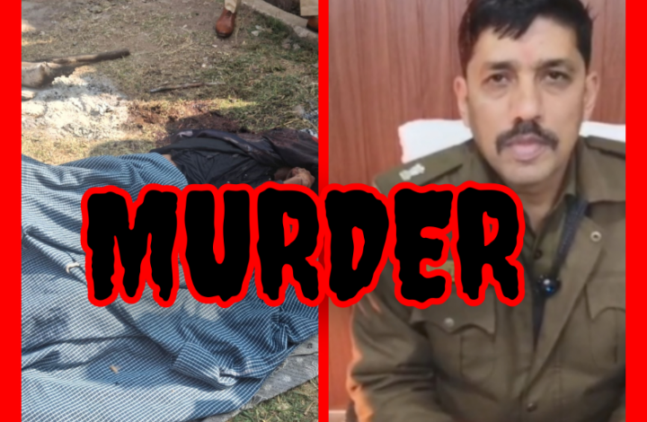 Screenshot 20251216 183506.Gallery