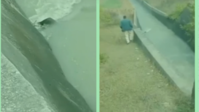 Screenshot 20251217 115139.WhatsApp