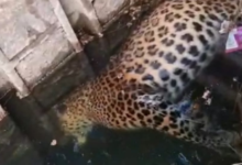 Screenshot 20251217 120146.WhatsApp