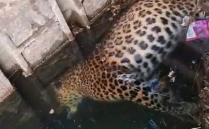 Screenshot 20251217 120146.WhatsApp