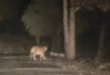 Screenshot 20251222 143721.WhatsApp