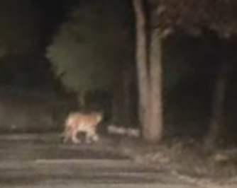 Screenshot 20251222 143721.WhatsApp