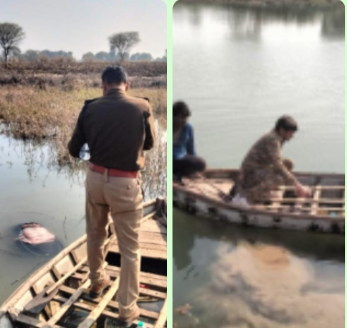 Screenshot 20251226 132815.WhatsApp