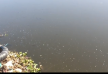 Screenshot 20251227 172709.WhatsApp