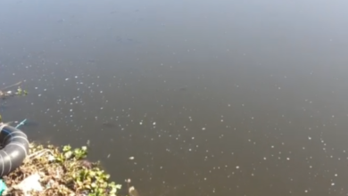 Screenshot 20251227 172709.WhatsApp